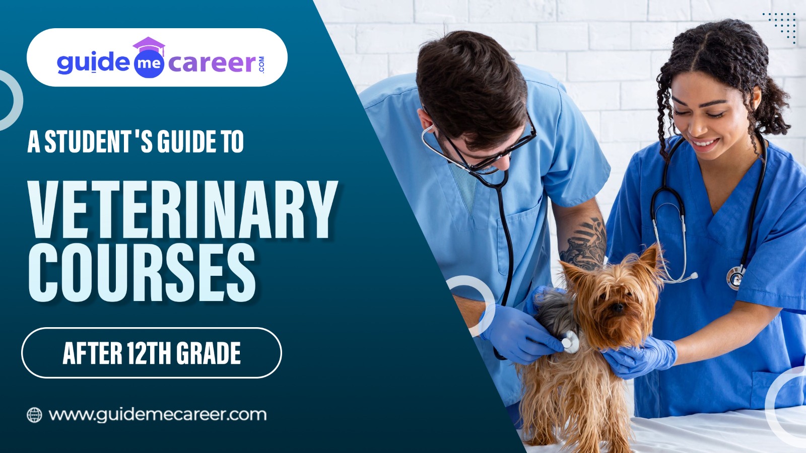 A Student's Guide to Veterinary Courses After 12th Grade
